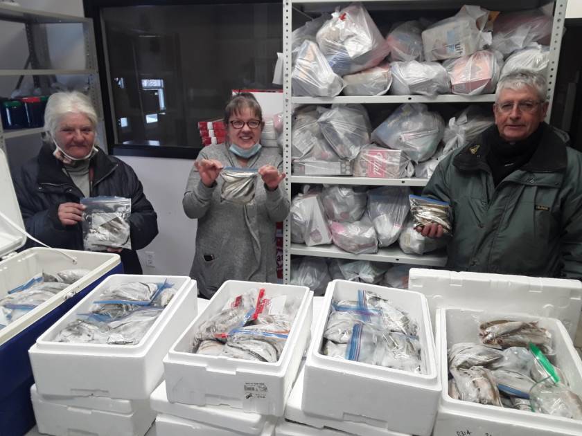 Les pêcheurs font un don record de 2 196 éperlans
