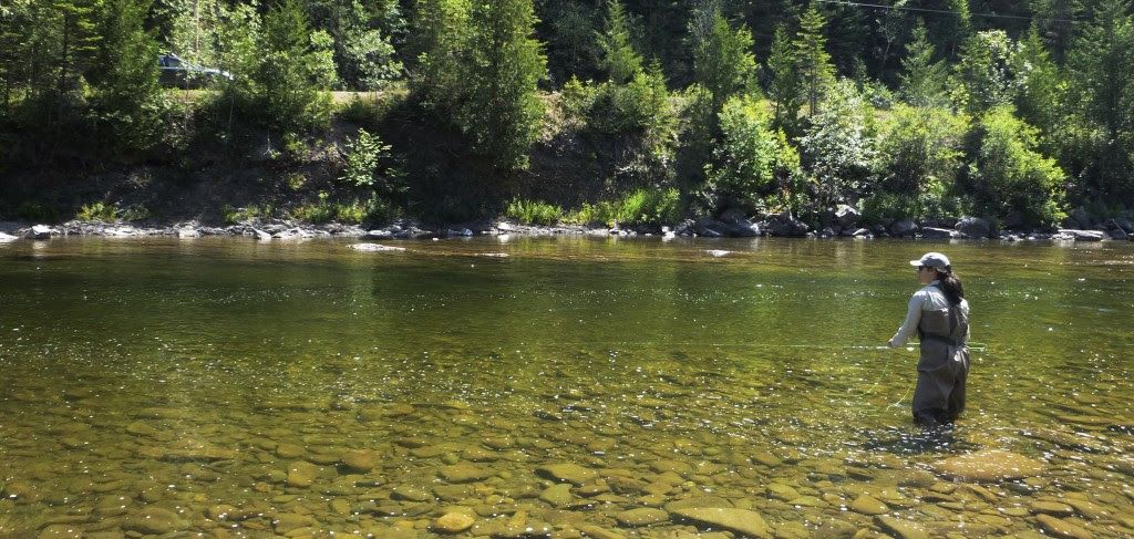 « Découvrez les rivières à saumon du Québec » sur le Web 