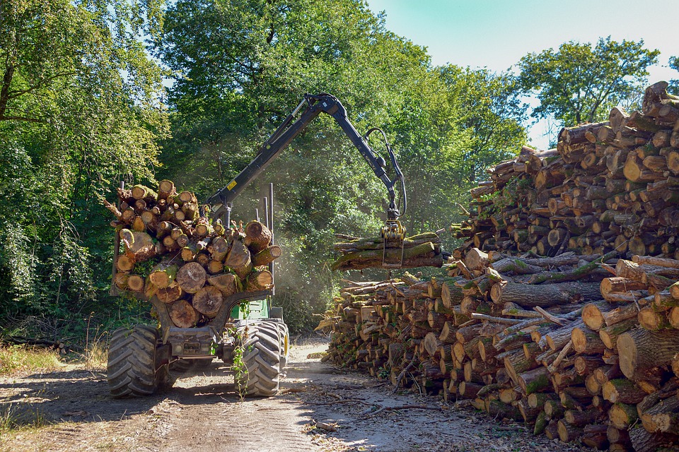 Travaux d'inventaire forestier en forêt publique et privée au Québec