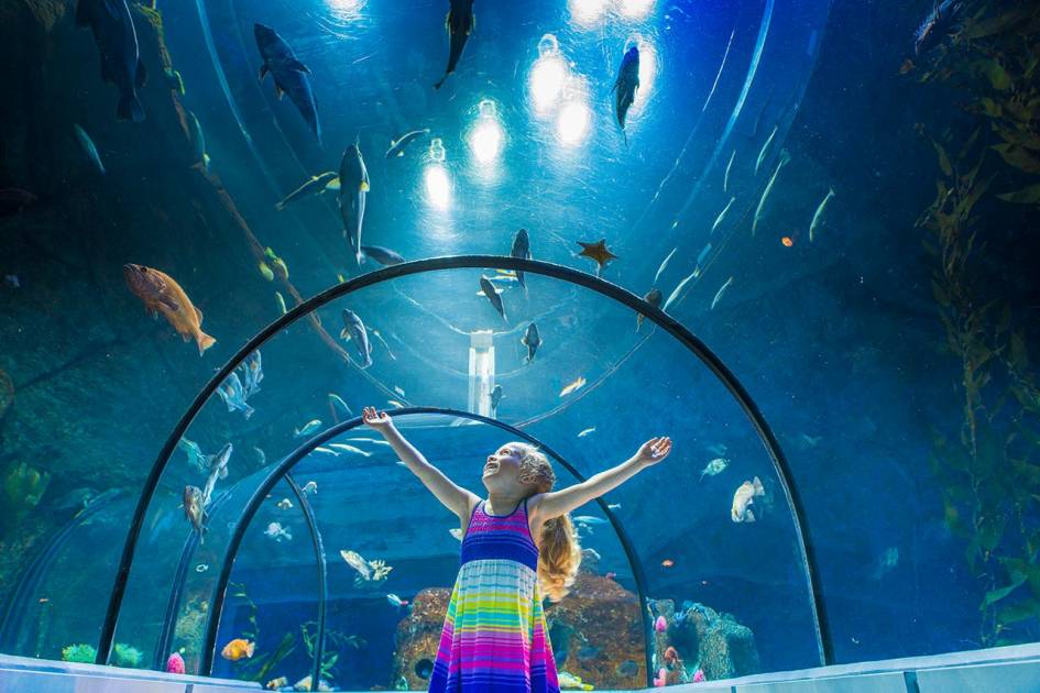 L'Aquarium du Québec prolonge ses heures d’ouverture 