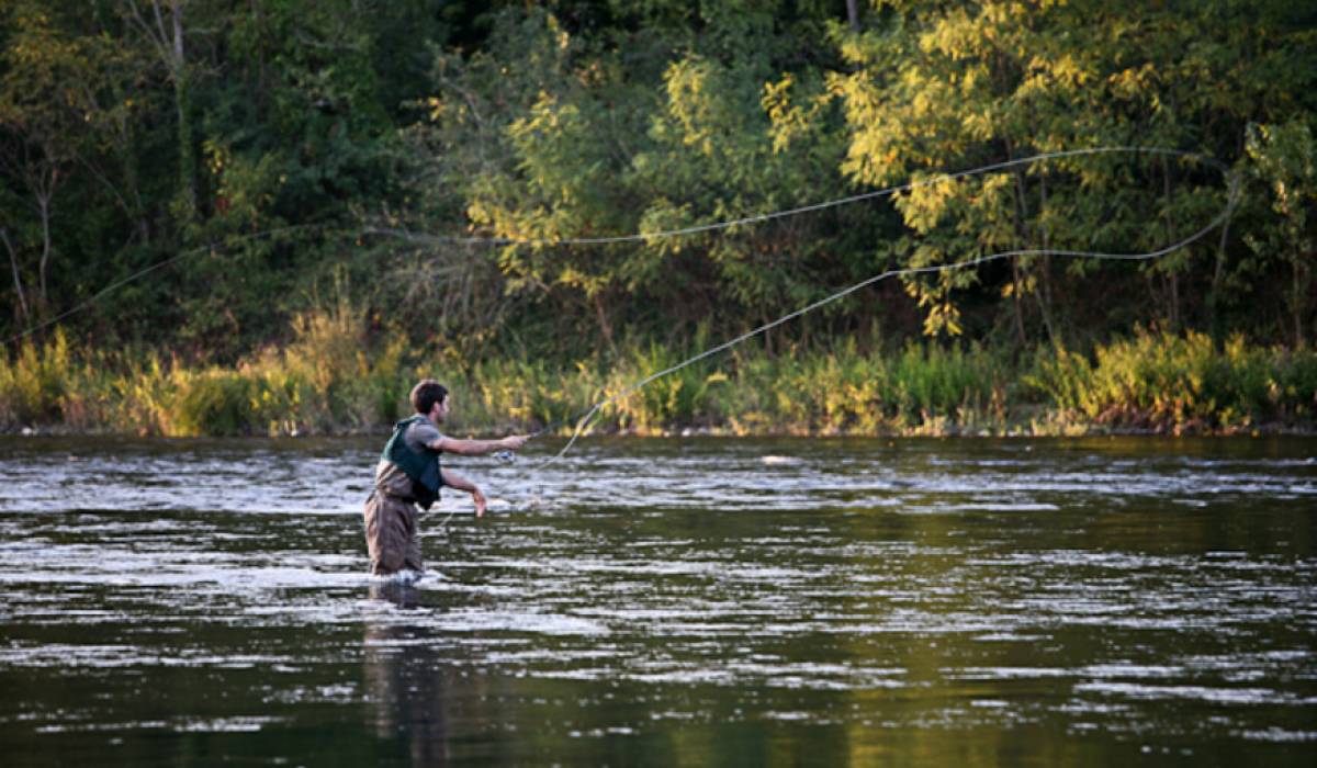 Tout sur la pêche à la mouche en rivière et en lac