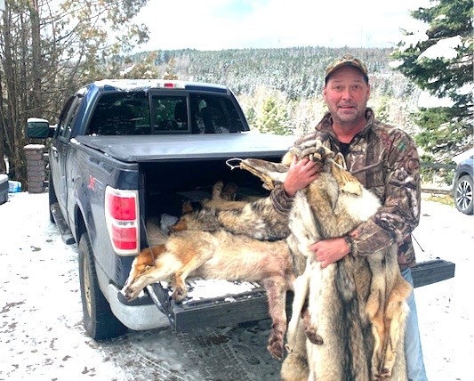 Bruno Leclerc protège les caribous des coyotes