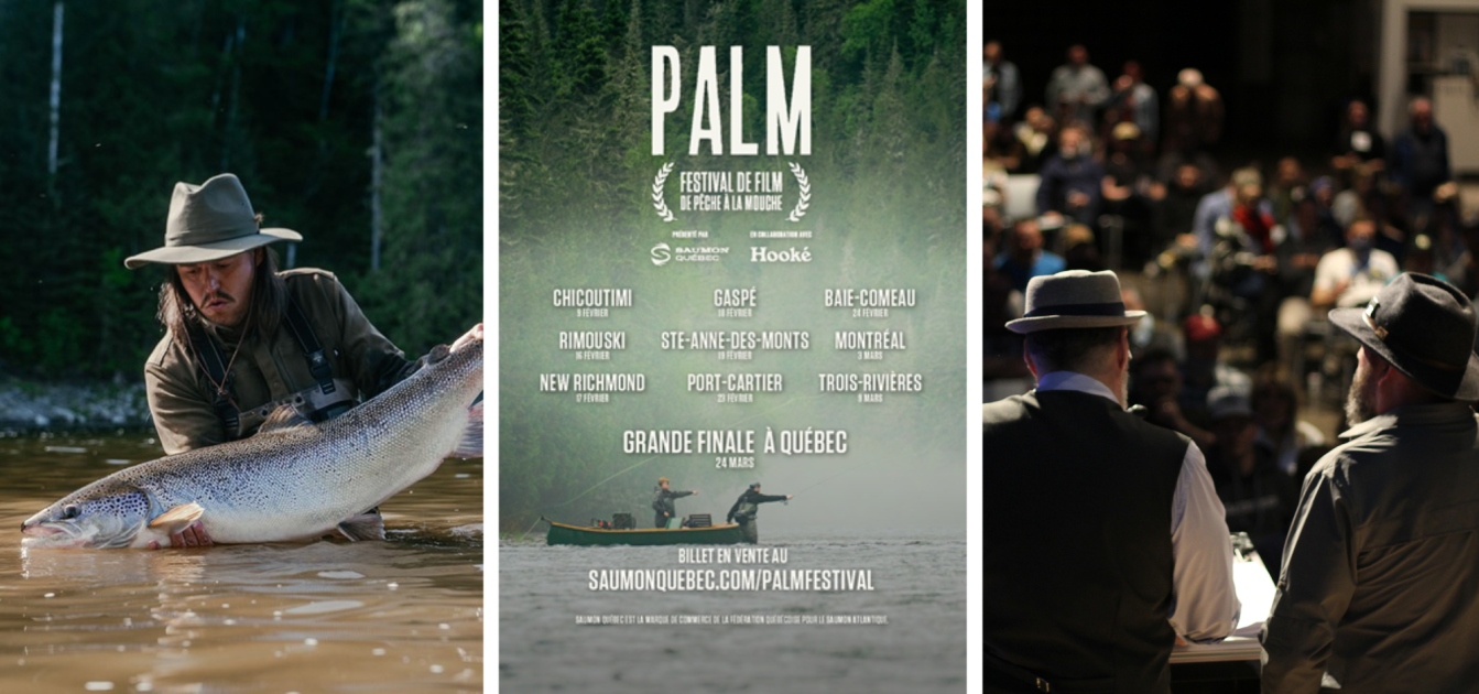 Les vidéos du Festival PALM 2023 disponibles en ligne